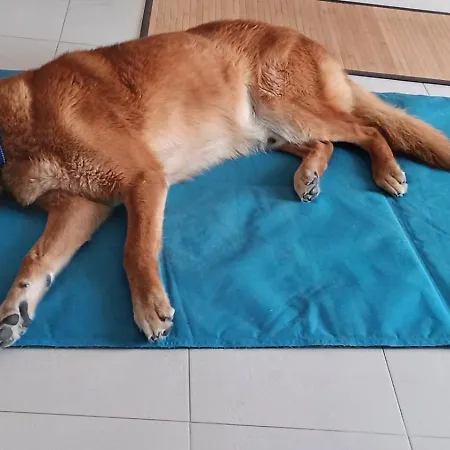 Studio_suite05 公寓